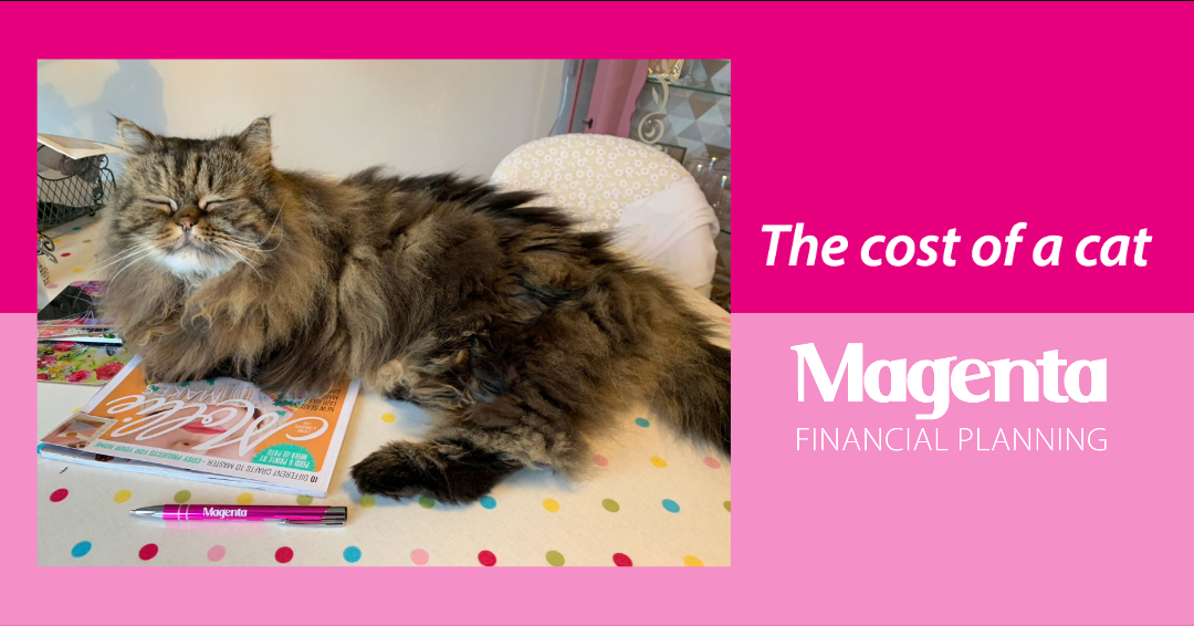 The cost of a cat Magenta Financial Planning