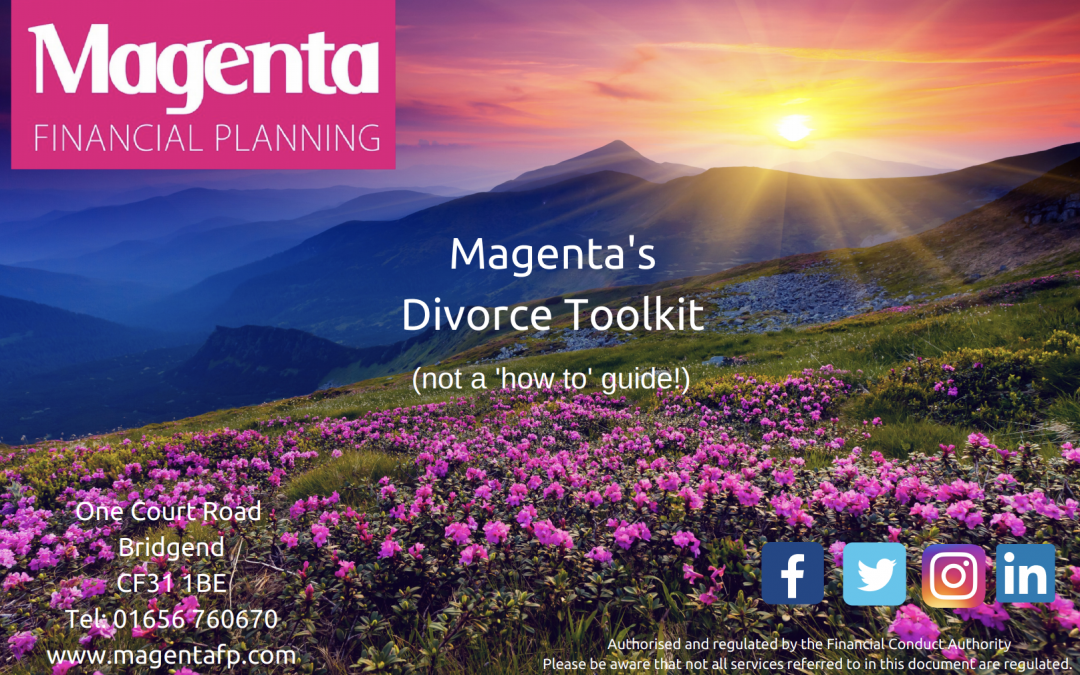 Divorce Planning Toolkit
