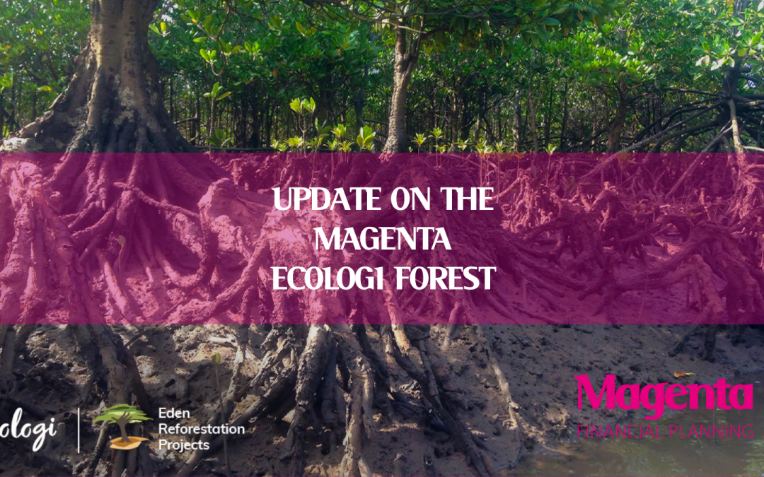 Magenta’s Forest keeps Growing with Ecologi