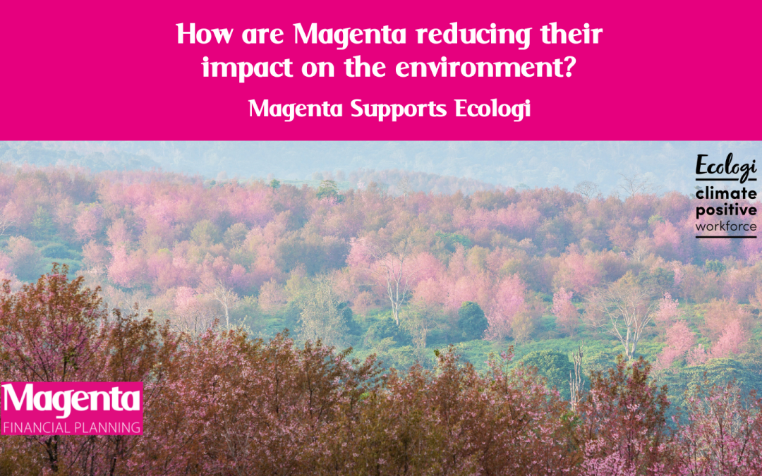 Continuing to Support our Magenta Forest!